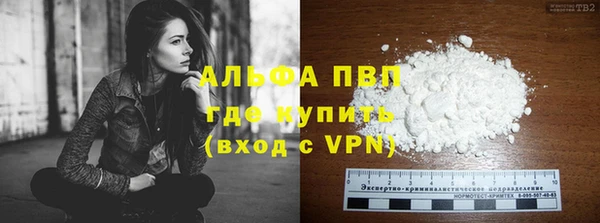 PSILOCYBIN Инта