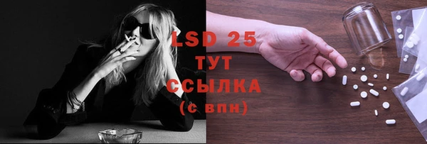 PSILOCYBIN Инта
