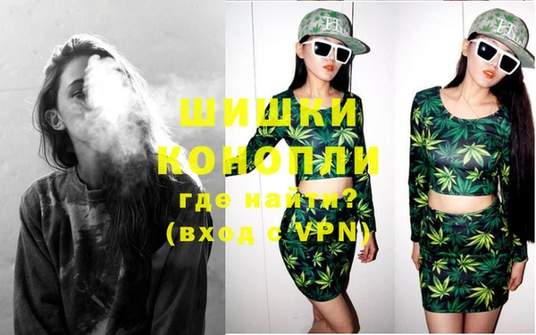 PSILOCYBIN Инта