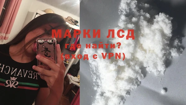 PSILOCYBIN Инта