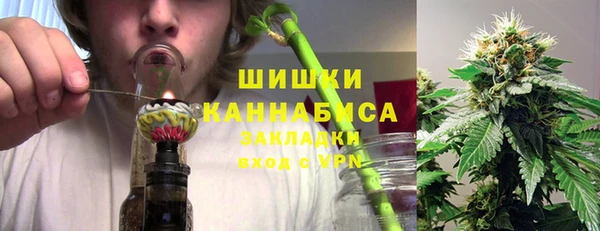 PSILOCYBIN Инта